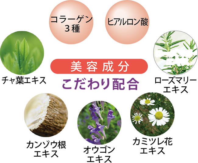 フェイスソープ成分表花