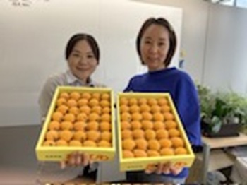 アロハースタッフ