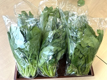 ほうれん草