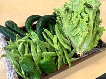 野菜