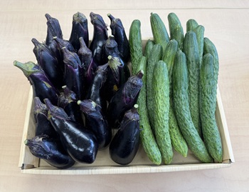 野菜