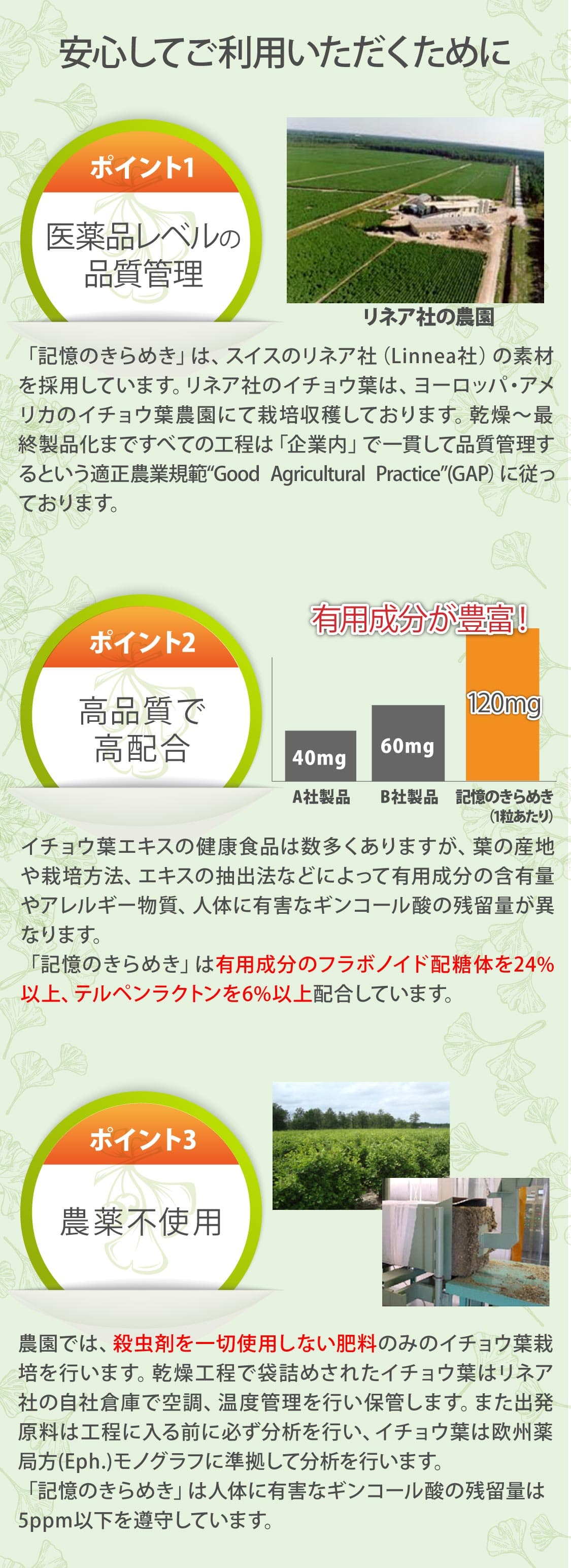 記憶のきらめき(3) 記憶のきらめき(3)