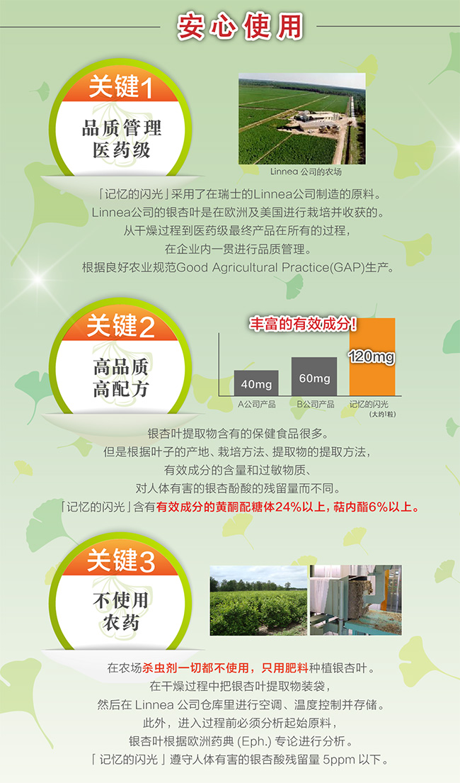 記憶のきらめき(3) 記憶のきらめき(3)
