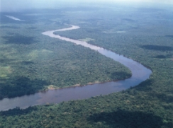 ブラジル・アマゾン川流域の上空写真